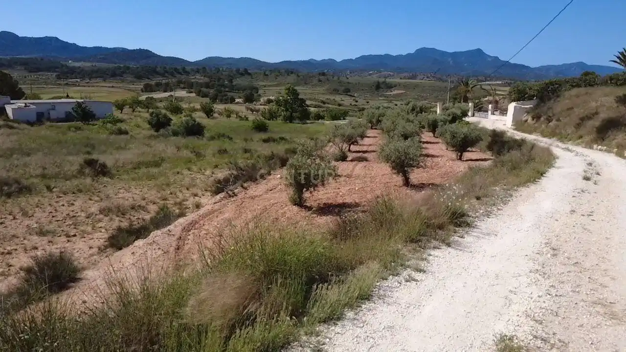 Houses for sale in DS TORRE RICO Polígono 75 Parcela \1. JUMILLA (MU, Jumilla