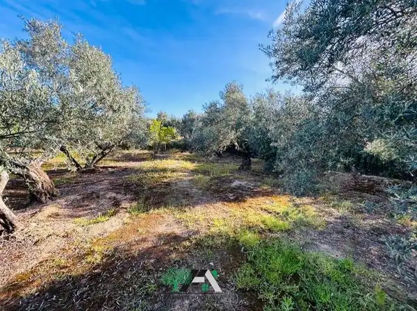 Terreni e lotti in vendita a Baeza, imagen 7
