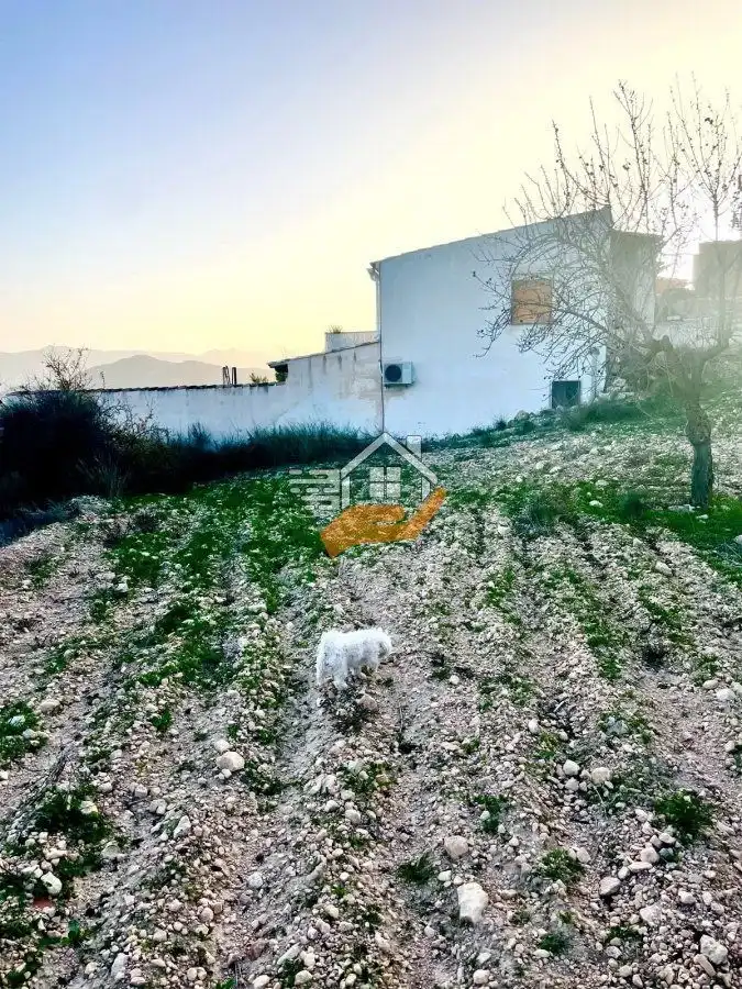 Lands and plots for sale in Vélez-Rubio, imagen 10