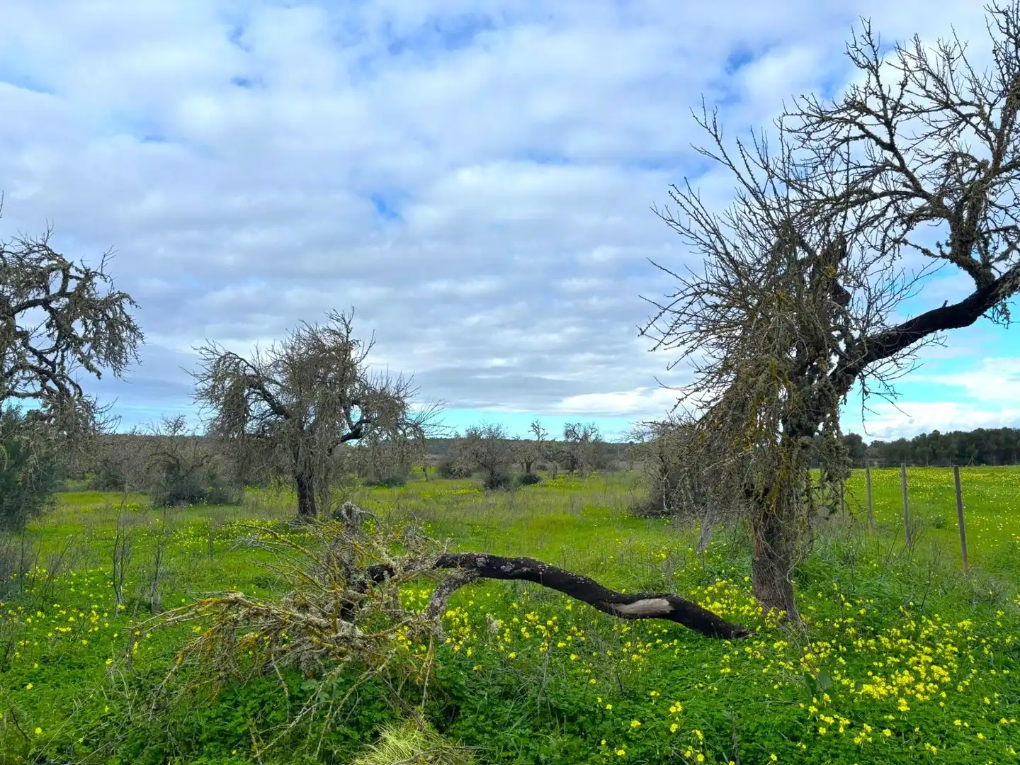 Residential land for sale in Zona Rústica - Interior