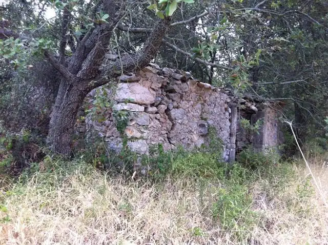 Terreno rustico in vendita a Pollença Poble, imagen 4