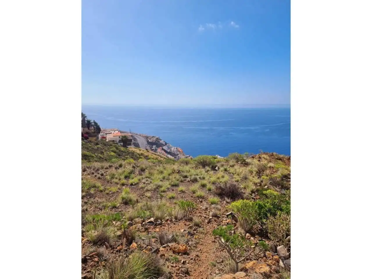 Rural land for sale in Calle Brezo, imagen 6