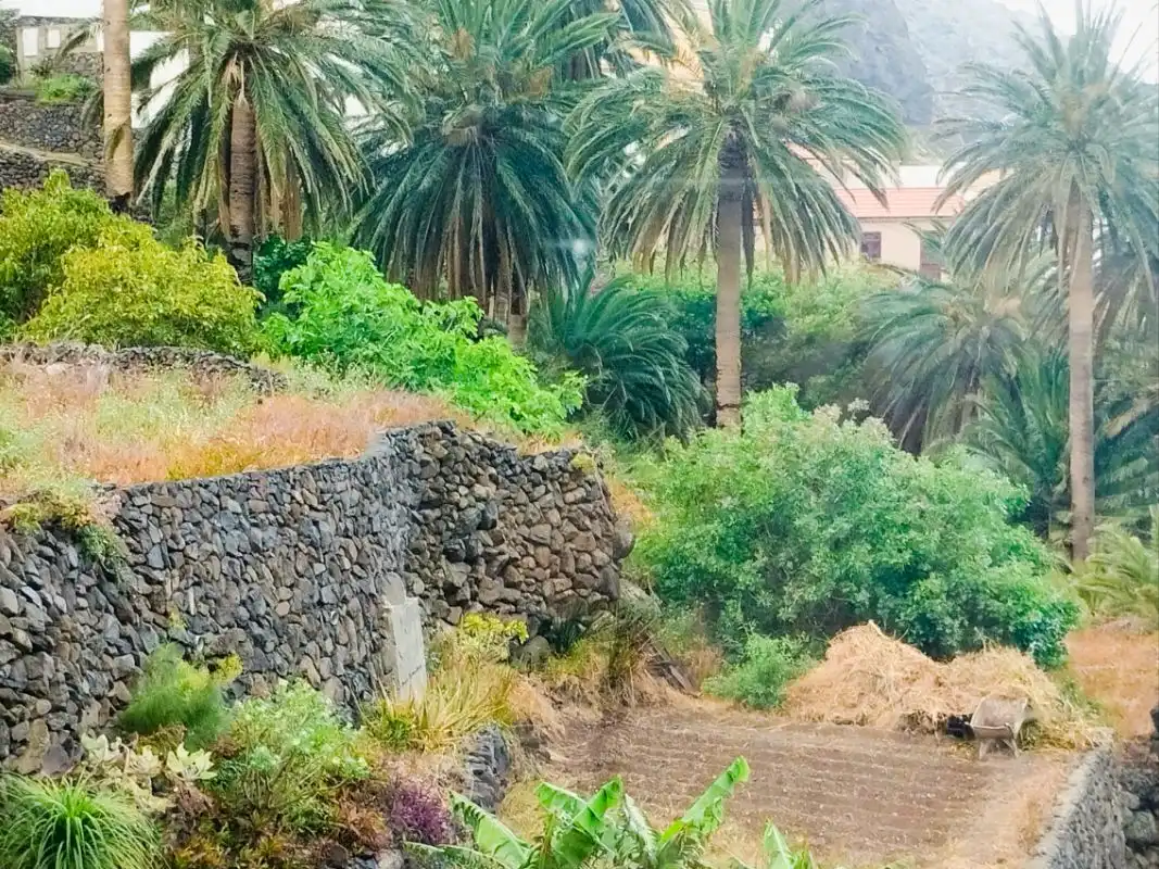Vista exterior de Casa o xalet de lloguer en Valle Gran Rey, Santa Cruz de Tenerife