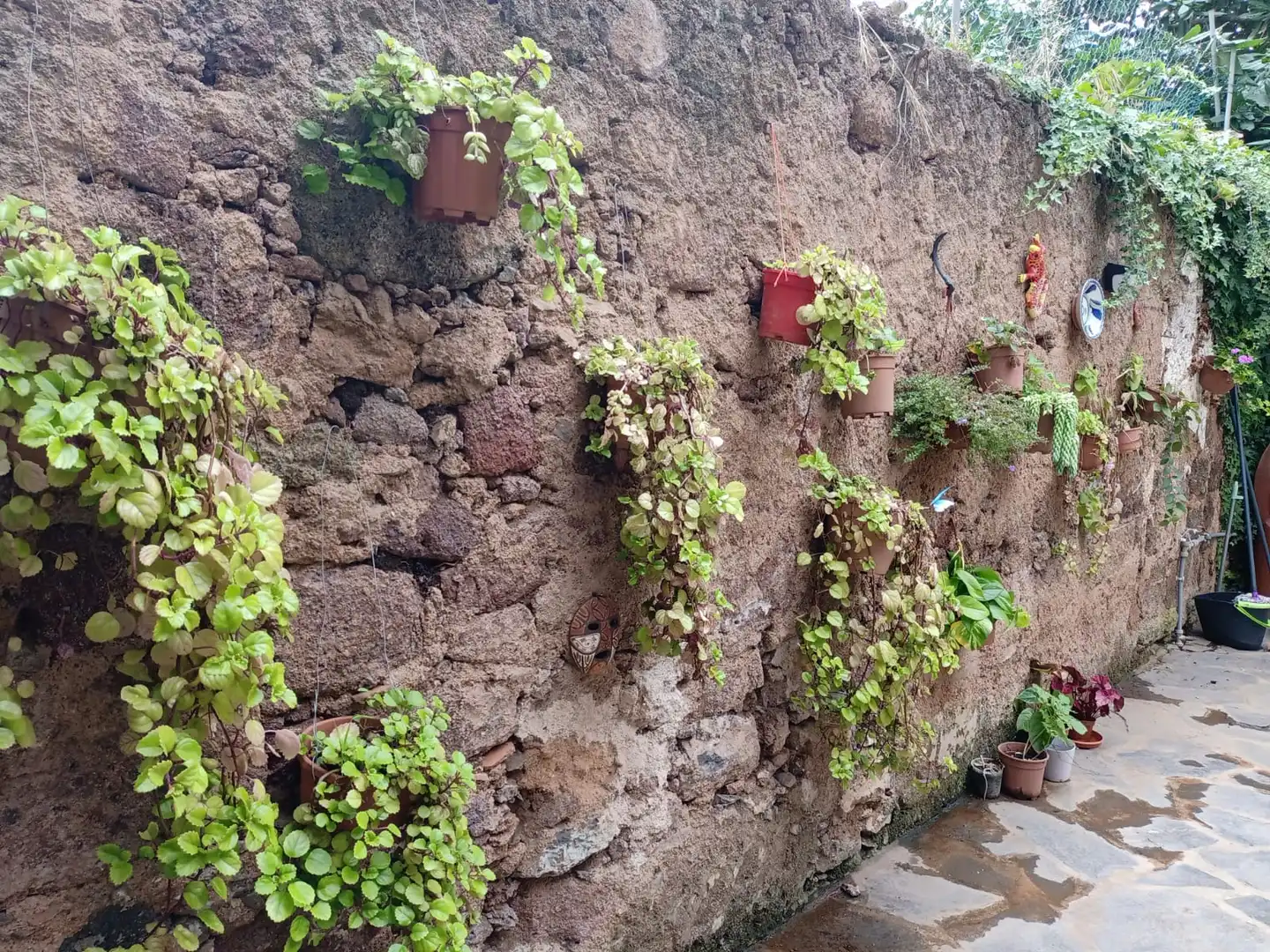 Garden of Country homes for sale in San Cristóbal de la Laguna  with Parquet flooring, Terrace and Furnished