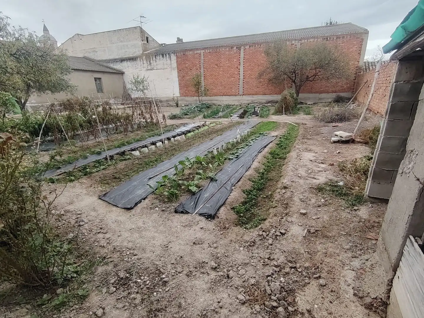 Jardín de Casa o chalet en venta en Nuez de Ebro con Calefacción, Jardín privado y Trastero