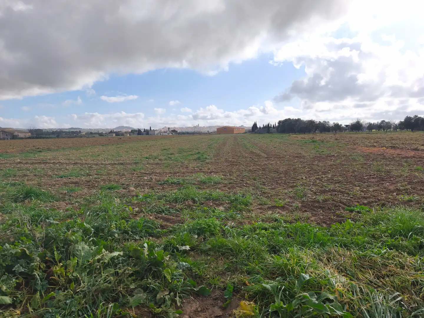 Terreno rustico in vendita a Montuïri, imagen 3