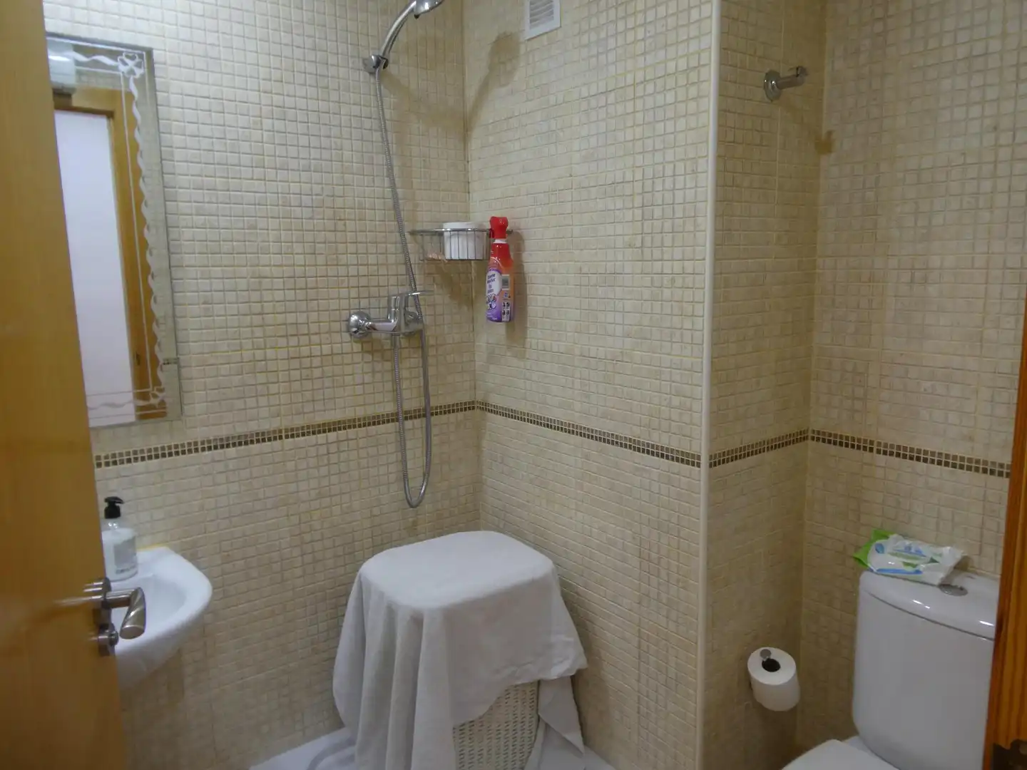 Baño de Planta baja en venta en Villanueva del Río Segura