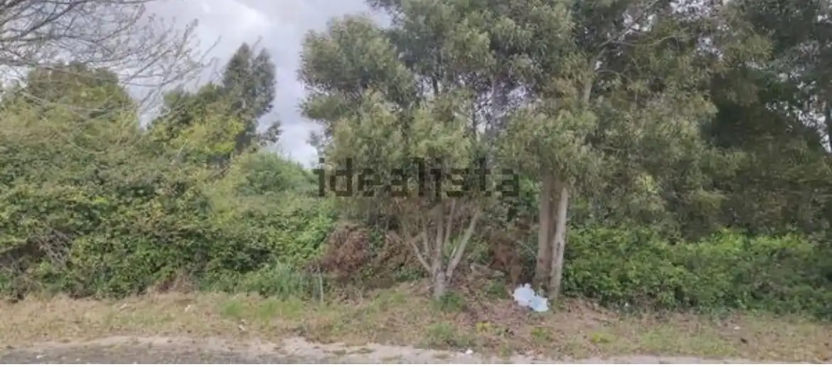 Residencial en venta en A Guarda  