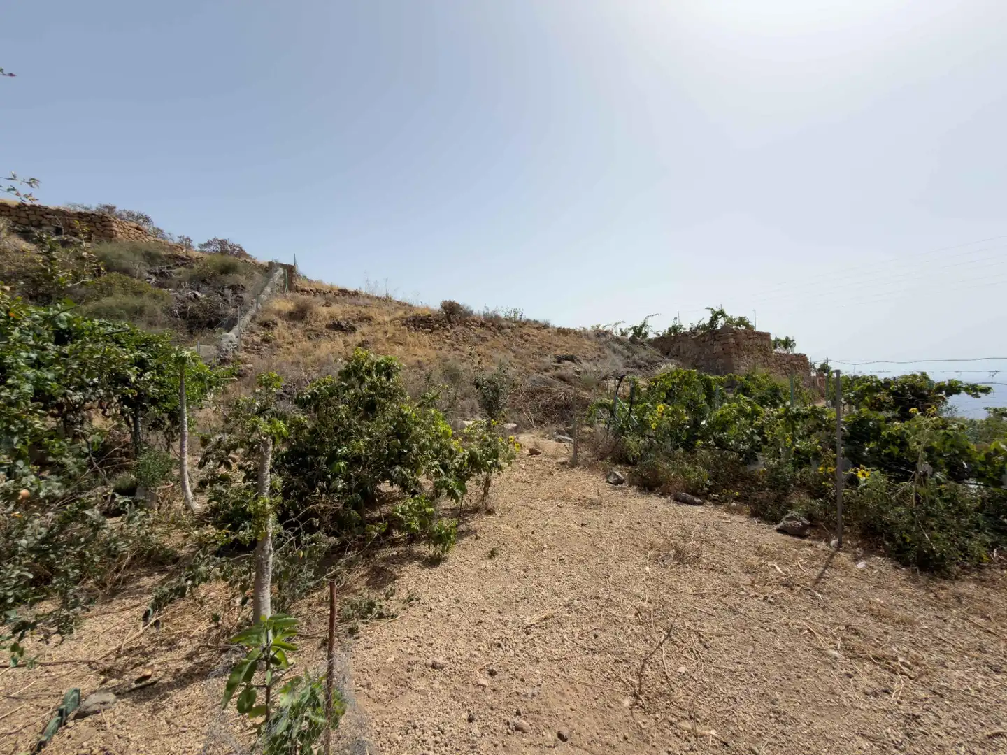 Finca rústica en venda en Güímar
