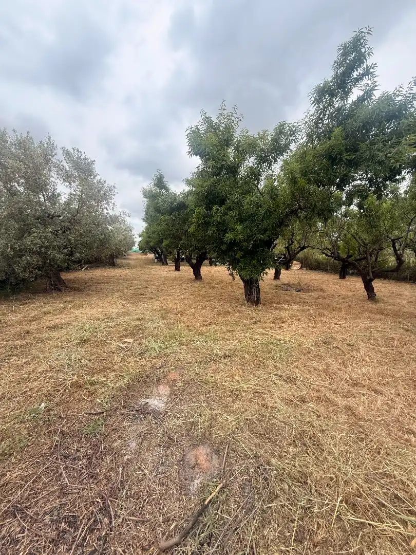 Terrain rustique à vendre à Camí de Perafita 71, imagen 17