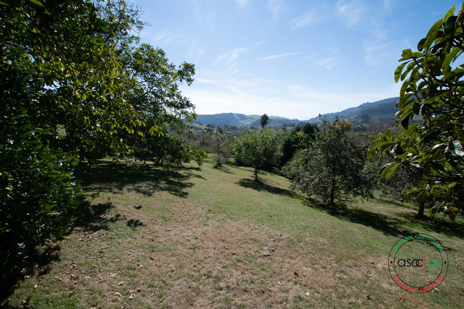 Casa o chalet en venta en Villaviciosa con Calefacción, Jardín privado y Parquet