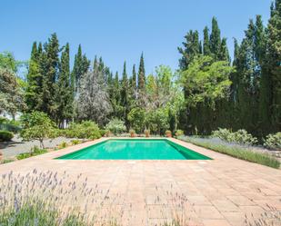 Jardí de Finca rústica en venda en Archidona amb Aire condicionat, Calefacció i Jardí privat