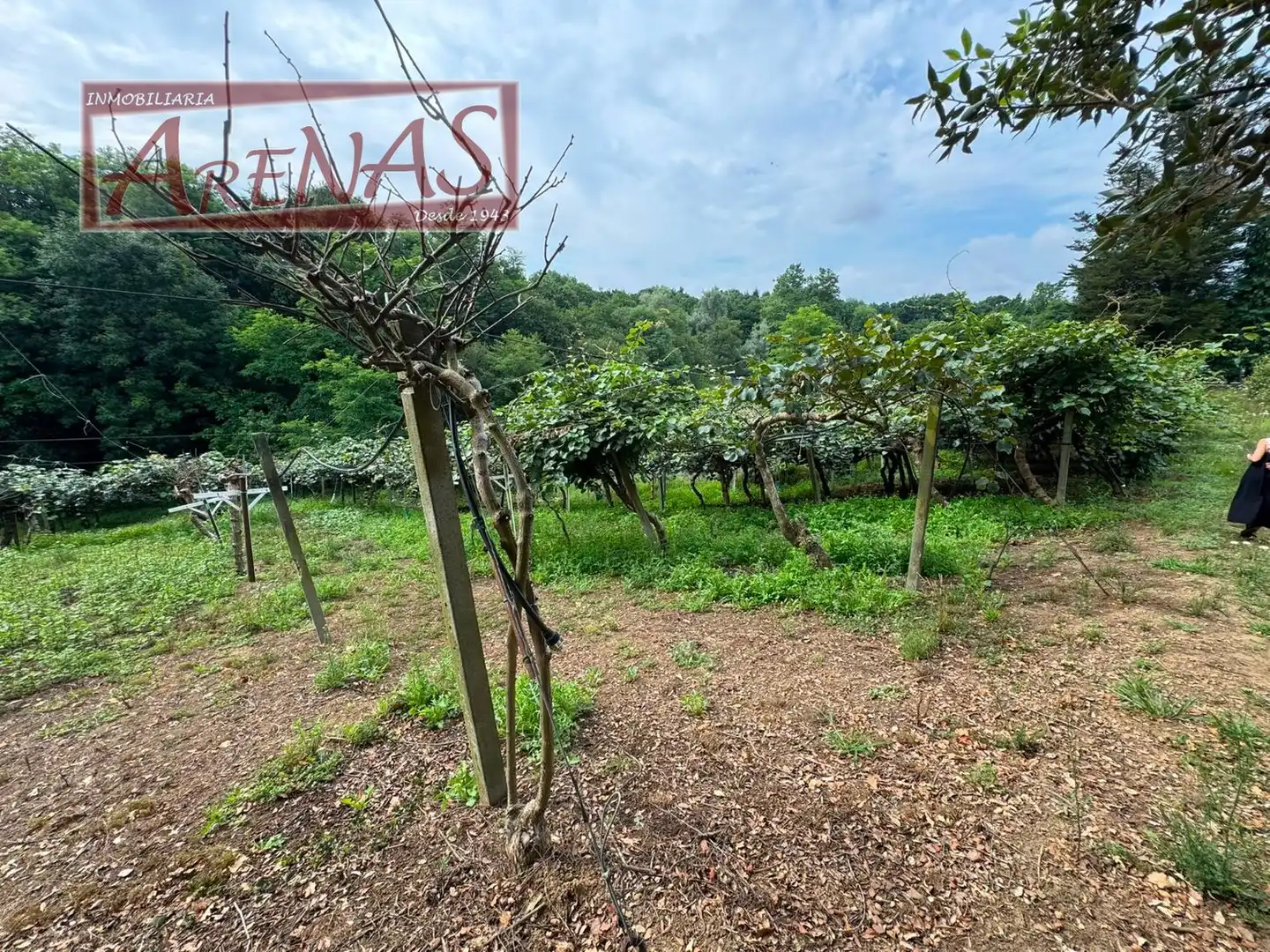Land for sale in Marina de Cudeyo