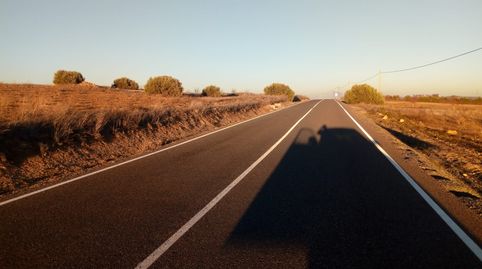 Immagine 1 dell'annuncio