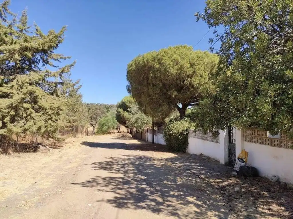 Vista exterior de Finca rústica en venda en Castilblanco de los Arroyos amb Jardí privat i Piscina