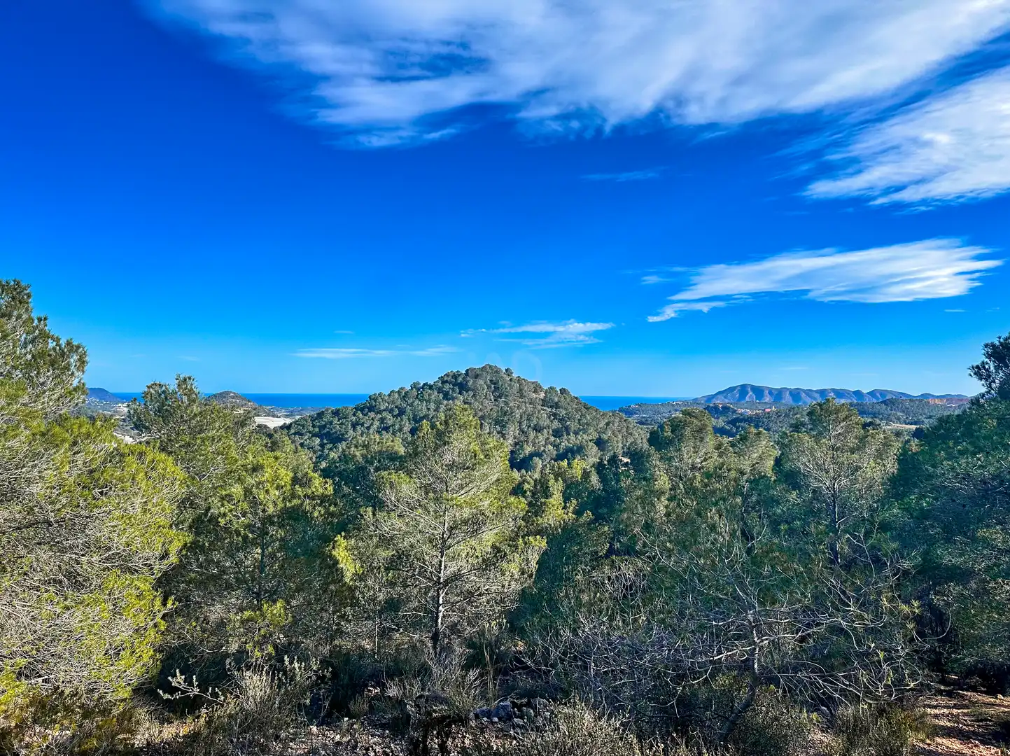Terreno en venta en Polop