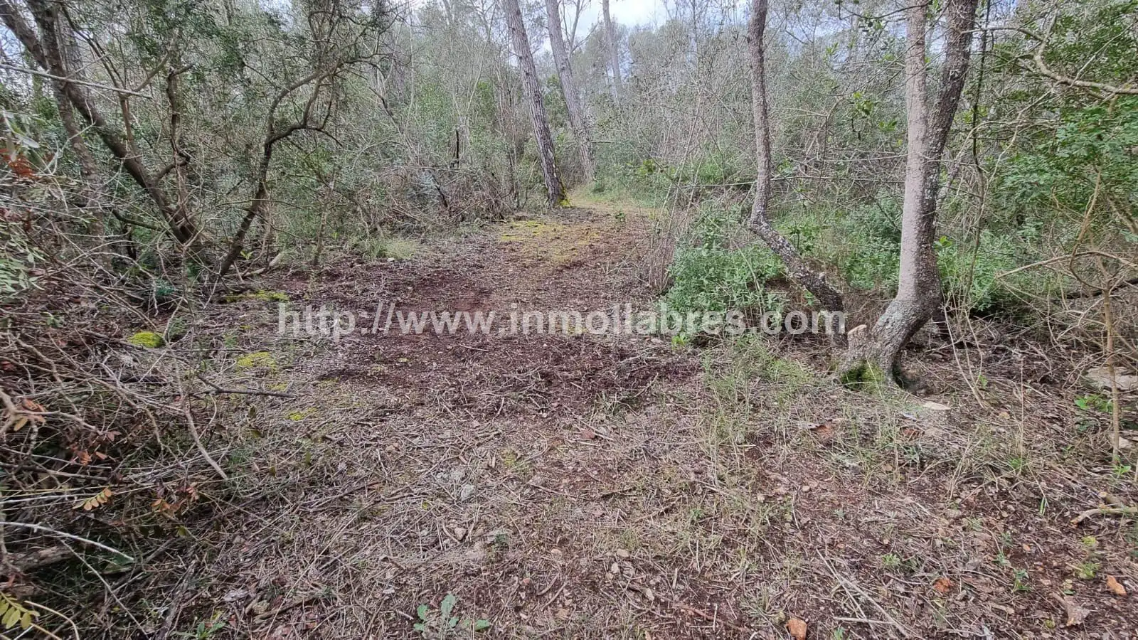Residencial en venda a Lloret de Vistalegre