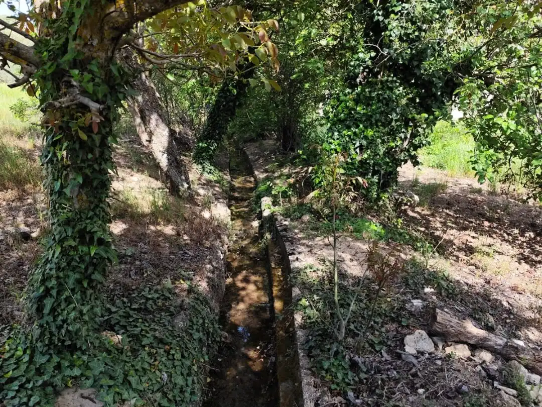 Terrenys i solars en venda a Travesía Tercia 76, imagen 3