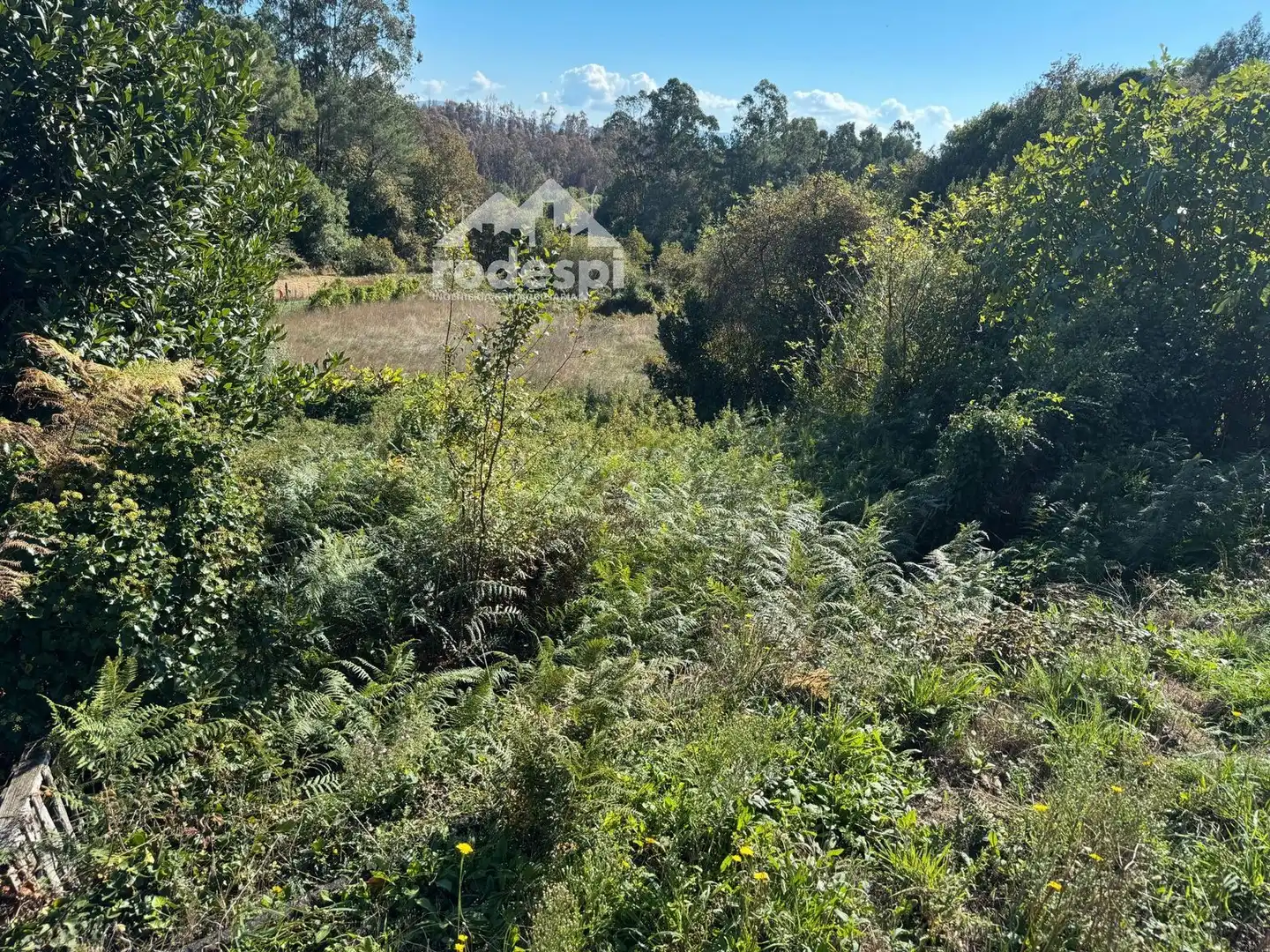 Xalet en venda a A Cañiza, imagen 10