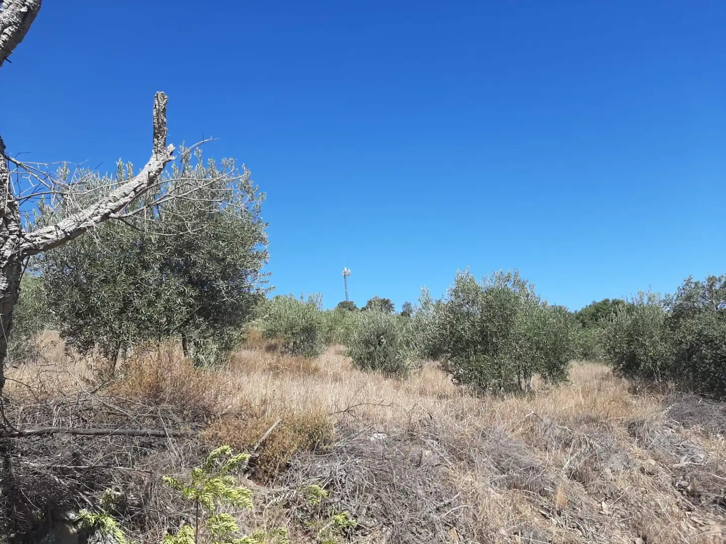 Terreni e lotti in vendita a Sierra de Fuentes, imagen 17