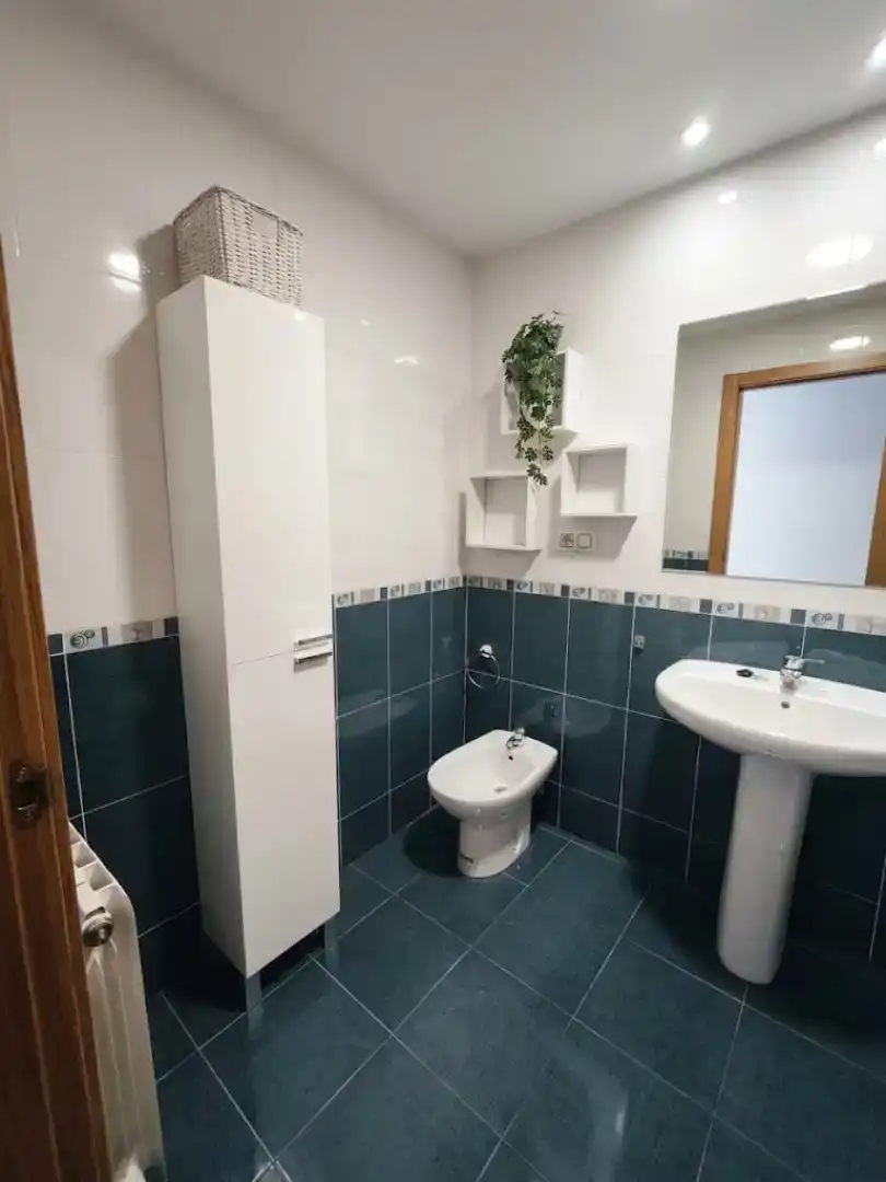 Bathroom of Flat for rent in Almansa  with Furnished, Oven and Washing machine