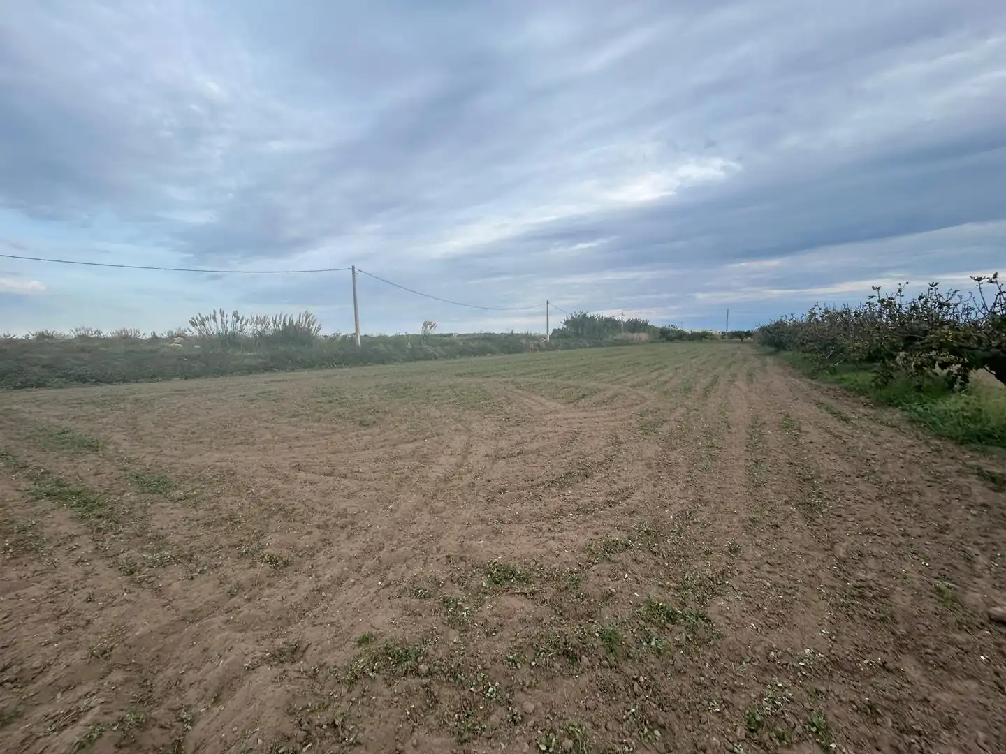 Terreno rustico in vendita a Vilamarina, imagen 2