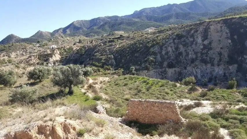 Finca rústica en venta en Ricote