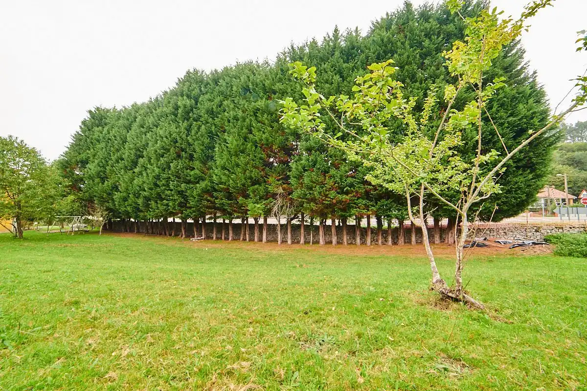 Detached house with garden for sale in Vidiago - Pendueles - Tresgrandas, imagen 57