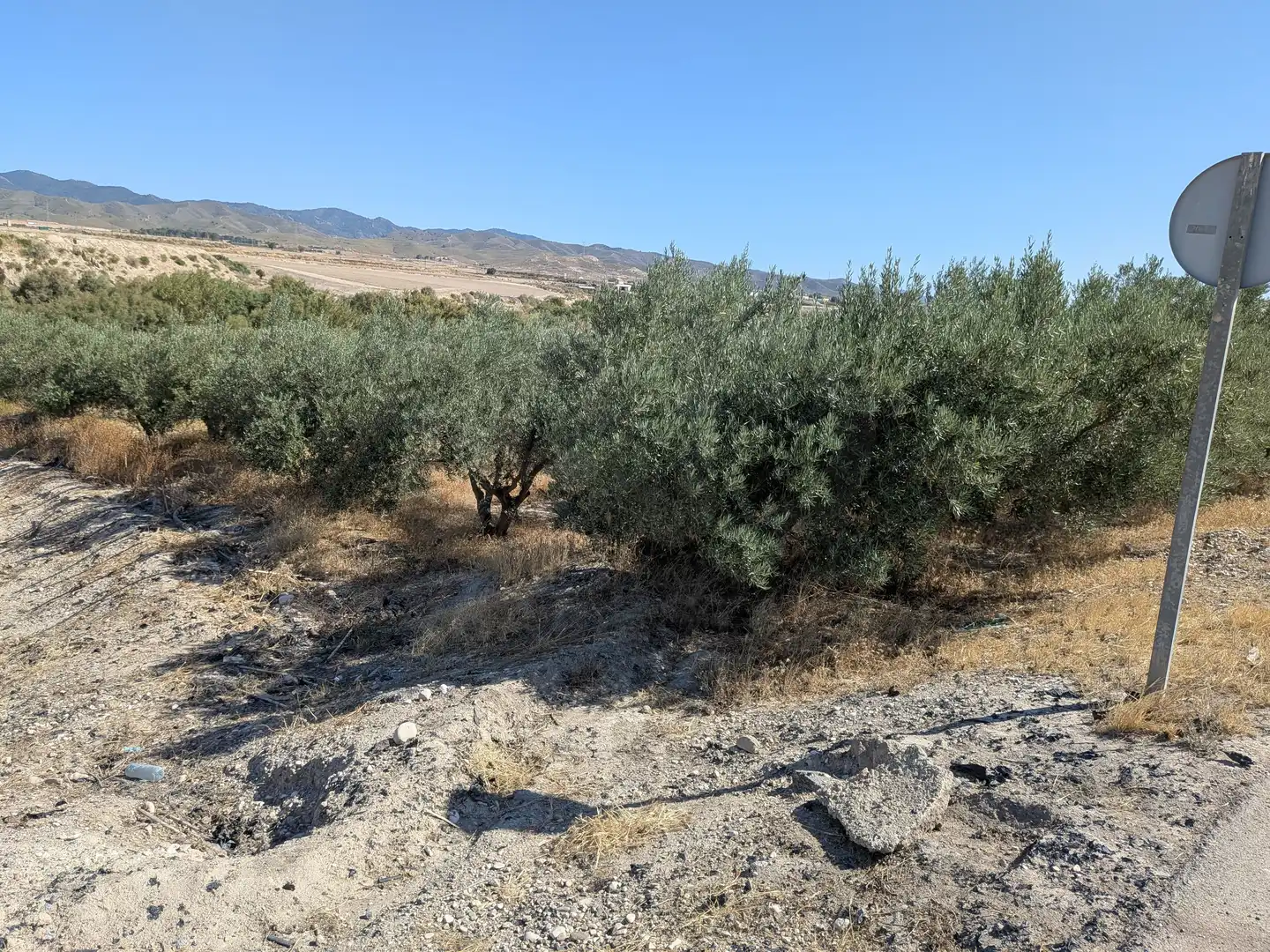 Terrains et parcelles à vendre à Pedanías Centro, imagen 12