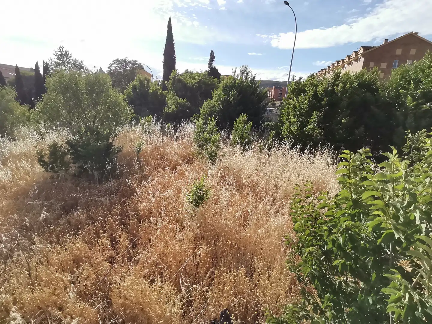 Terreno residencial en venta en Camino de la Soledad 1, imagen 3