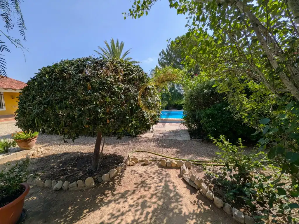 Xalet amb piscina en venda a Partida Cucuch, imagen 41