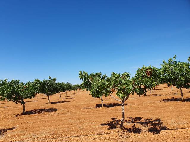 Terreno en Venta en Alhambra