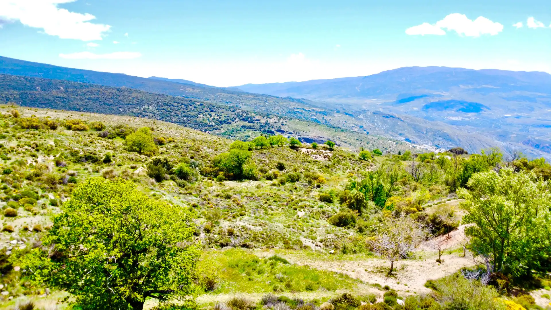 Terreni e lotti in vendita a Nevada, imagen 65
