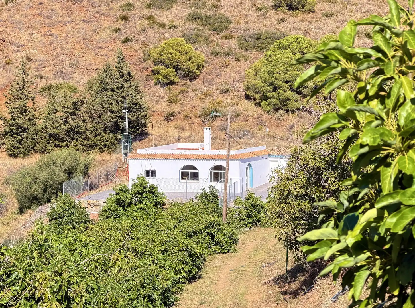 House with pool for sale in Avenida España, imagen 38