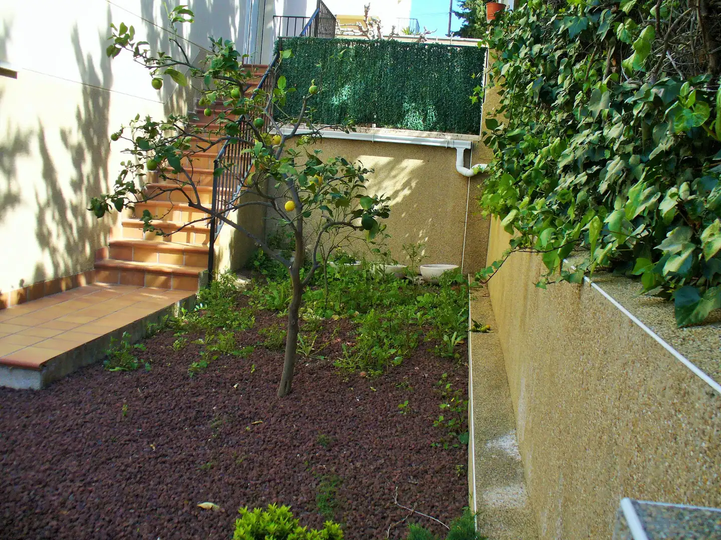 Casa aparellada amb jardí en venda a Carrer Farigola, imagen 3