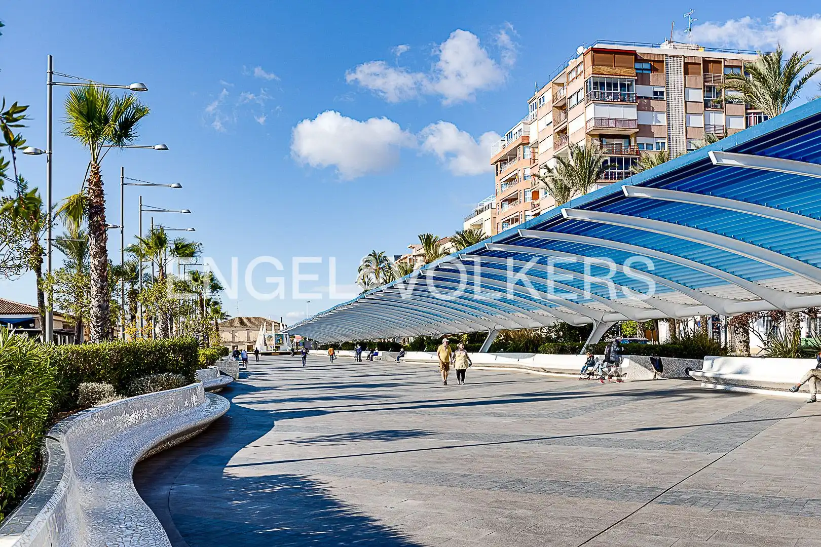 Àtic amb piscina en venda a Nueva Torrevieja - Aguas Nuevas, imagen 10