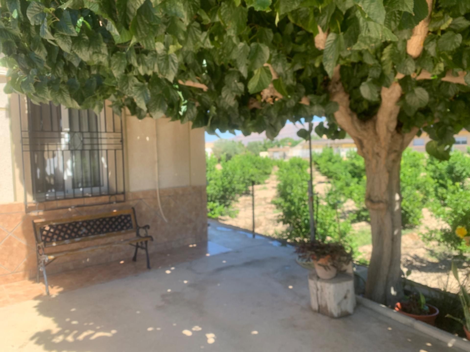 Garden of Country house for sale in  Murcia Capital