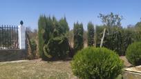 Residencial en venda en Palma del Río
