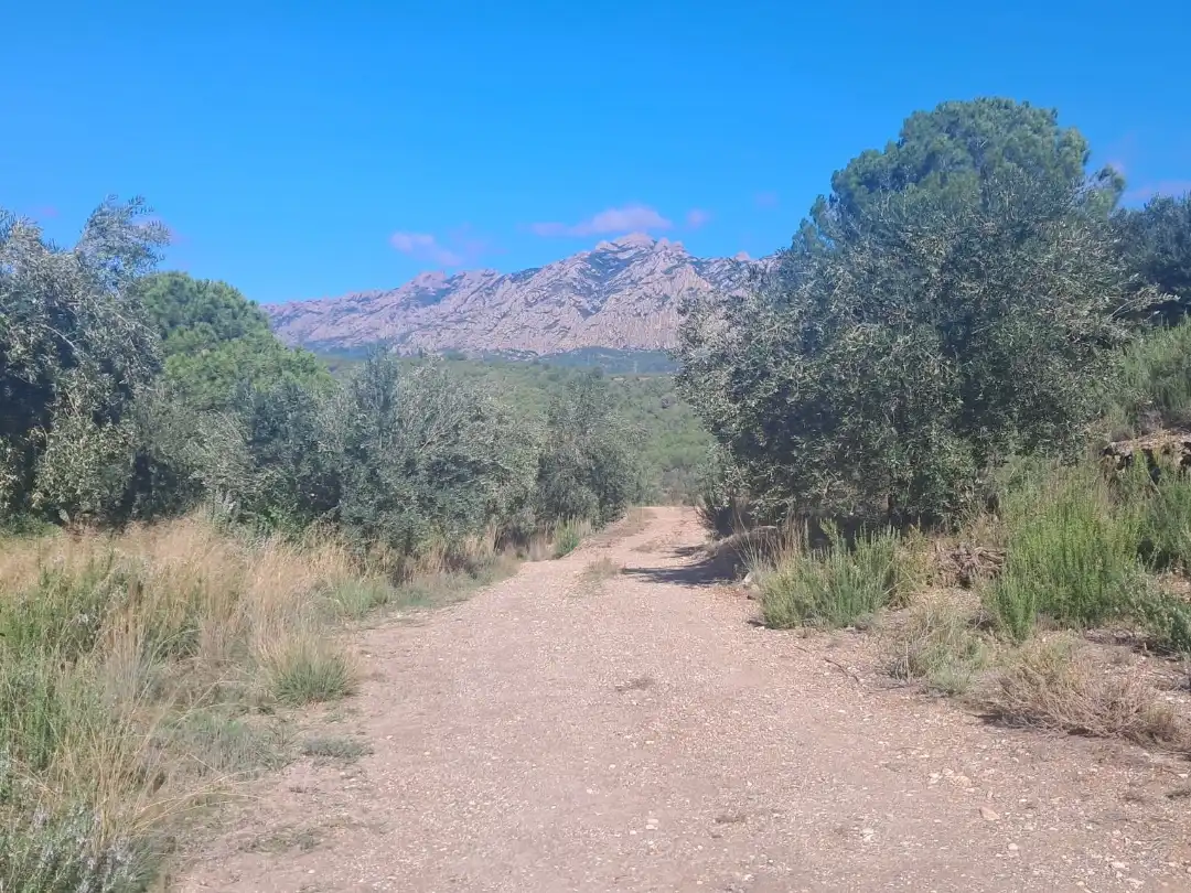 Terreno rústico en venta en Carretera de Piera 0