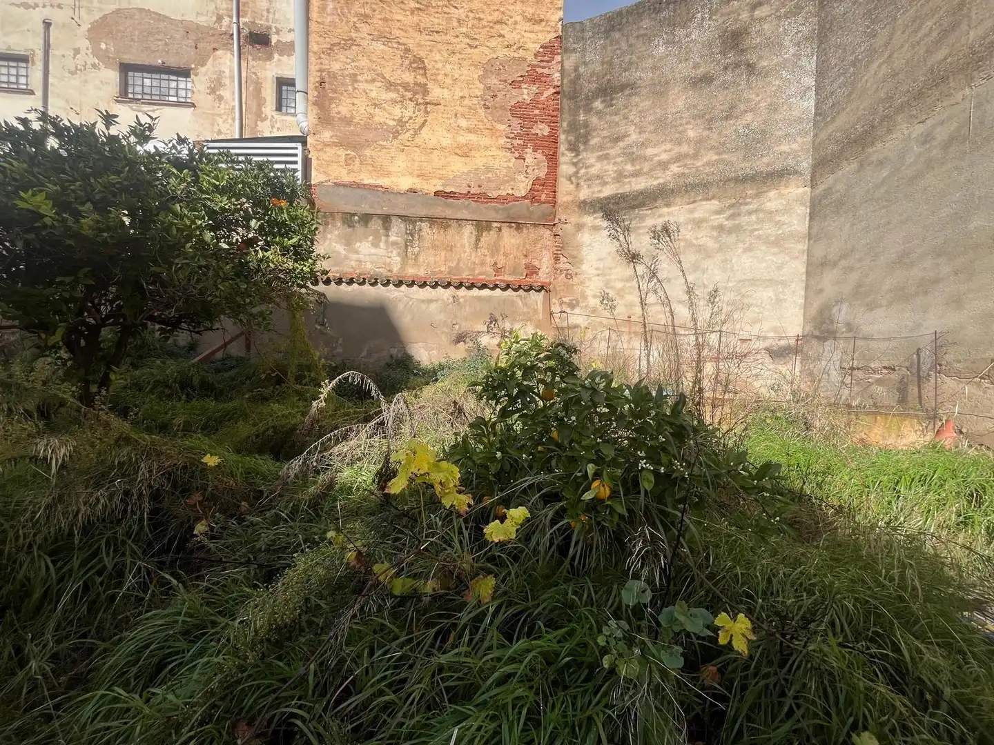 Jardí de Edifici en venda en Cáceres