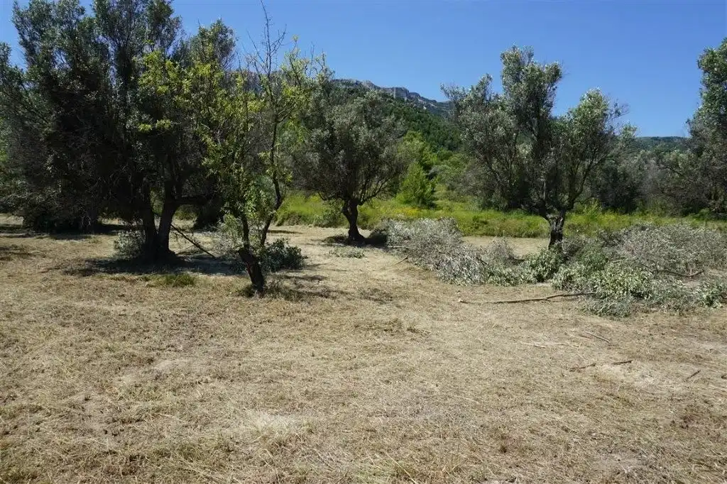 Land for sale in El Castell de Guadalest