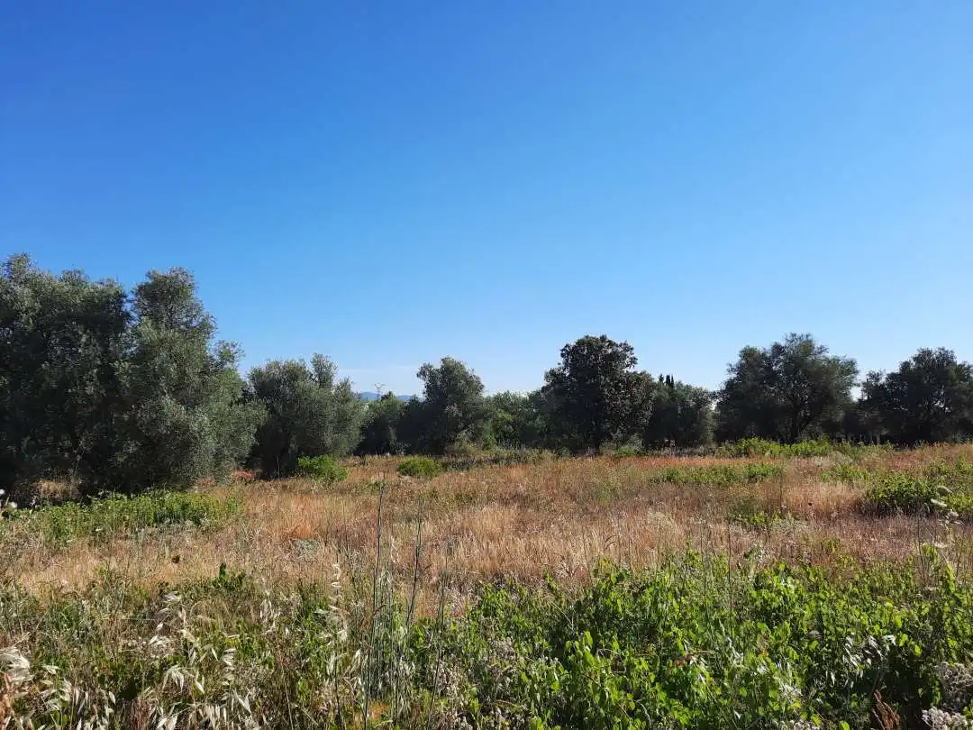 Terreno industrial en venta en Escalona