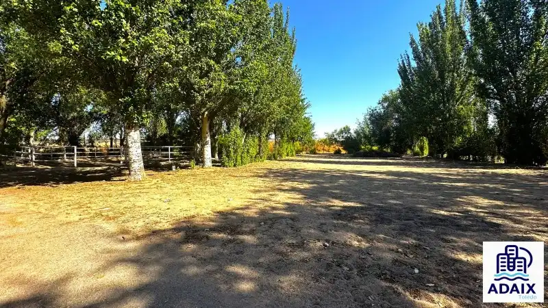 Vista exterior de Finca rústica en venta en Madridejos con Terraza
