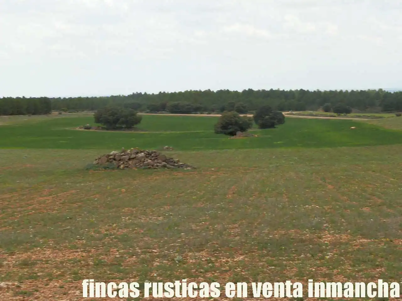 Terreno rustico in vendita a Ruidera, imagen 24