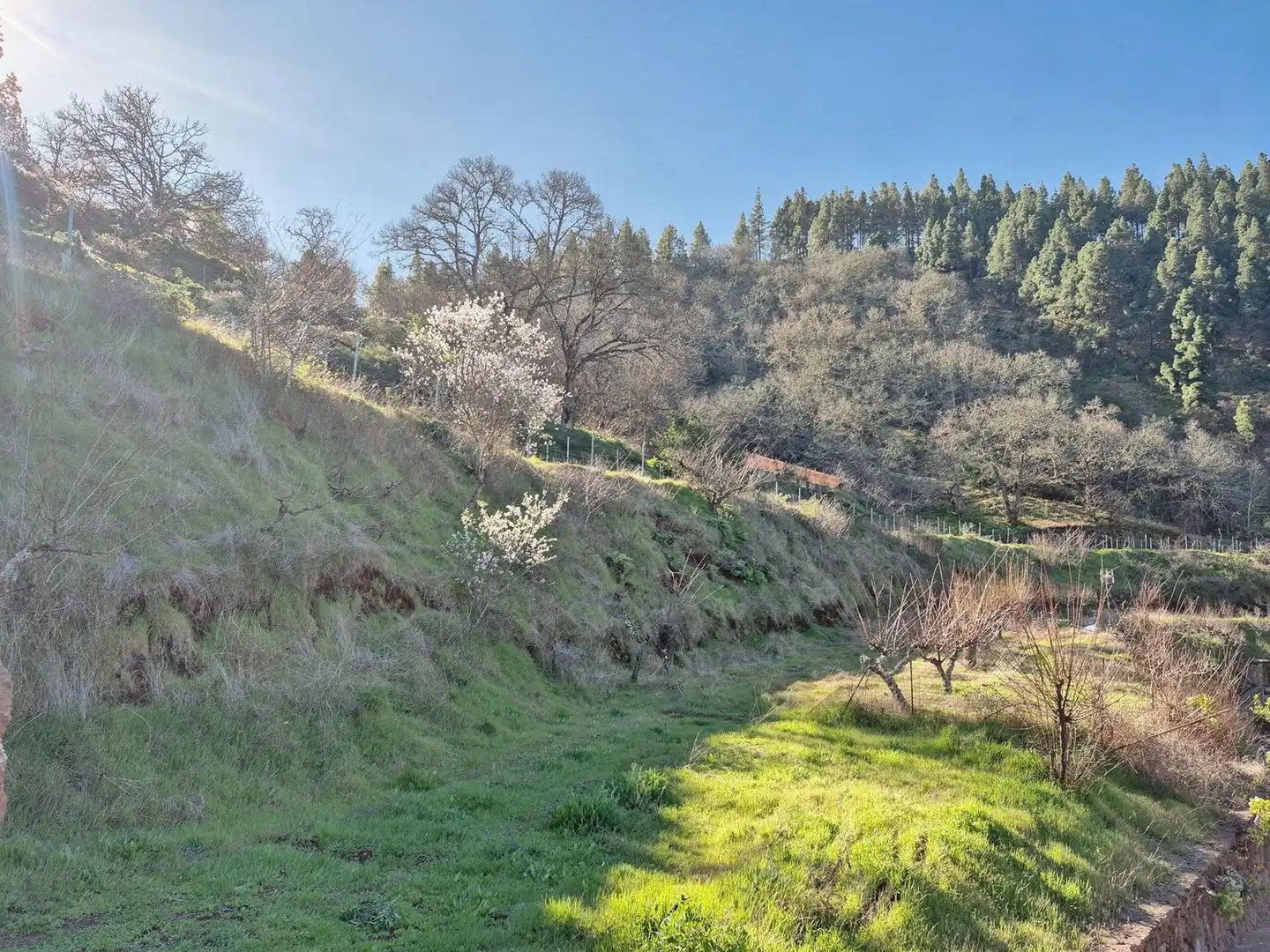 Xalet amb jardí en venda a Vega de San Mateo, imagen 41