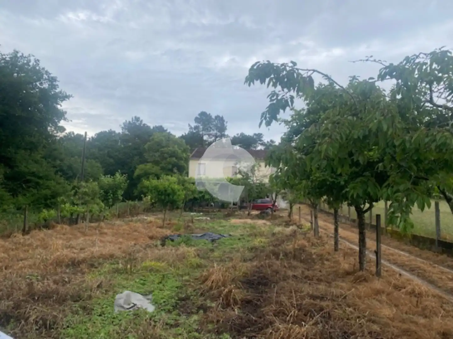 Casa amb jardí en venda a San Cristovo de Cea, imagen 3