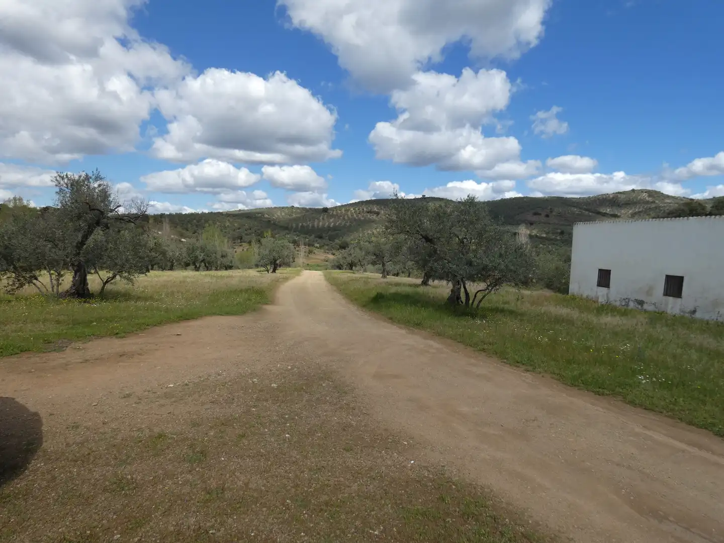 Houses for sale in Malcocinado