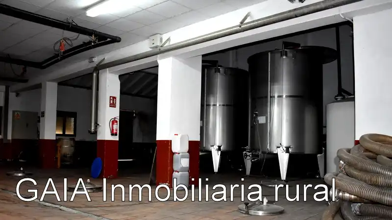 Adossat en venda a Maella, imagen 12