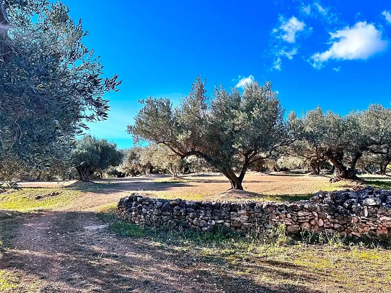 Country homes for sale in Tortosa  with Private garden