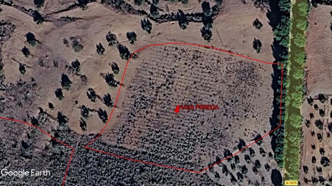 Terreno rustico in vendita a Alboloduy, imagen 2